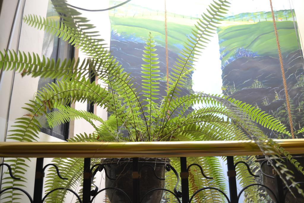Mashy'S Hostal Otavalo Exterior photo